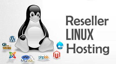 Importance of Linux VPS Hosting